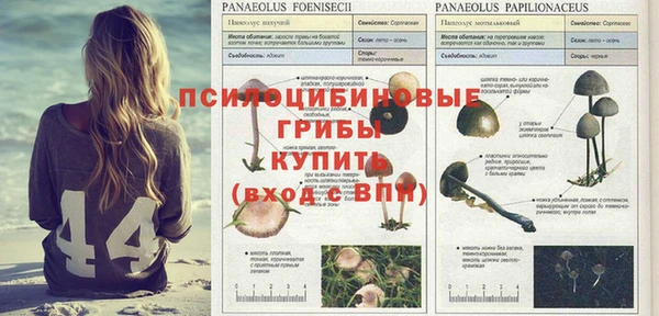 мескалин Наволоки